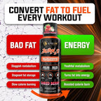 ALPHA LION Burn2O L-Carnitine Liquid 2000mg, Premium Liquid Fat Burner & Pre-Workout Supplement for Men & Women - Natural Energy & Metabolism Booster for Weight Loss - ShredBerry