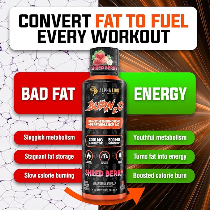 ALPHA LION Burn2O L-Carnitine Liquid 2000mg, Premium Liquid Fat Burner & Pre-Workout Supplement for Men & Women - Natural Energy & Metabolism Booster for Weight Loss - ShredBerry