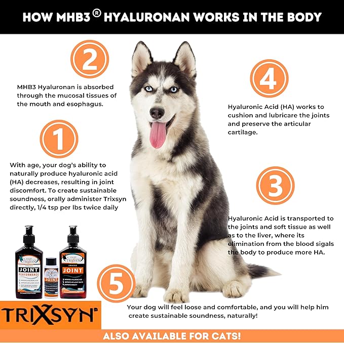 TRIXSYN Canine - Dog Hip and Joint Supplement - Liquid Hyaluronic Acid HA for Dog - Patented Liquid Formula for Senior Dogs - MHB3 Hylauronan - 6 fl oz (2)