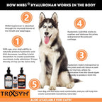 TRIXSYN Canine - Dog Hip and Joint Supplement - Liquid Hyaluronic Acid HA for Dog - Patented Liquid Formula for Senior Dogs - MHB3 Hylauronan - 6 fl oz (3)