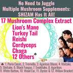 SHIZAM 17 Mushroom Complex Gummies for Adults Chaga Lions Mane Cordyceps Reishi Lion's Mane Turkeytail Turkey Tail, Better Daily Supplement Alt for Capsules & Powder Vitamins Super-Food Blend 10