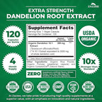 Zazzee USDA Organic Dandelion Root 10:1 Extract, 120 Capsules, 4 Month Supply, Liver & Detox Support, Taraxacum Officinale, Organic Herbal Supplement, All-Natural, Non-GMO, Made in the USA