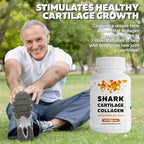 FabLab Collagen Supplement - Nutritional Supplement for Joint, Nerve Support - Non-GMO, Anti-Aging Dietary Product with Hydrolyzed Peptides