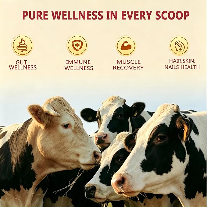 Core Bovine Colostrum Gummies, 1g Per Serving Grass Fed Colostrum Chews Colostrum Supplement for Gut Health, Hair Growth, Beauty, and Immune Support, Strawberry Flavor 60 Servings