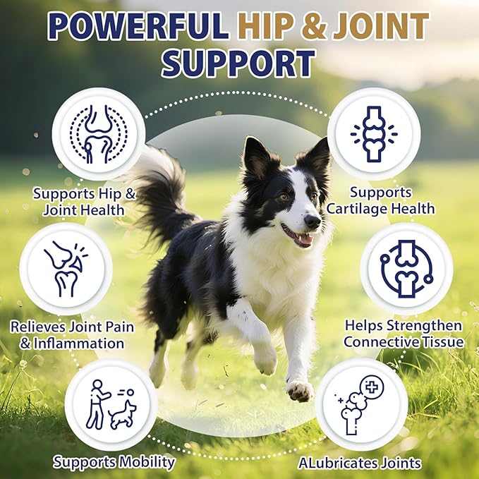 Hip and Joint Supplement for Dogs 200 Dog Calming Chews with Glucosamine, Chondroitin, Msm, Omega3, Melatonin for Senior Dogs Anxiety Pain Relief Anti Inflammatory Small/Medium/Large Dog -Chicken