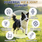 Hip and Joint Supplement for Dogs 200 Dog Calming Chews with Glucosamine, Chondroitin, Msm, Omega3, Melatonin for Senior Dogs Anxiety Pain Relief Anti Inflammatory Small/Medium/Large Dog -Chicken