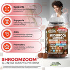 15in1 Mushroom Gummies with Lion's Mane Turkey Tail Cordyceps Reishi Chaga Sweet Toot Maitake Meshima Poria Cocos Shiitake Tremella, Oyster Agaricus Mushrooms for Men and Women Supplement Clean Nutra