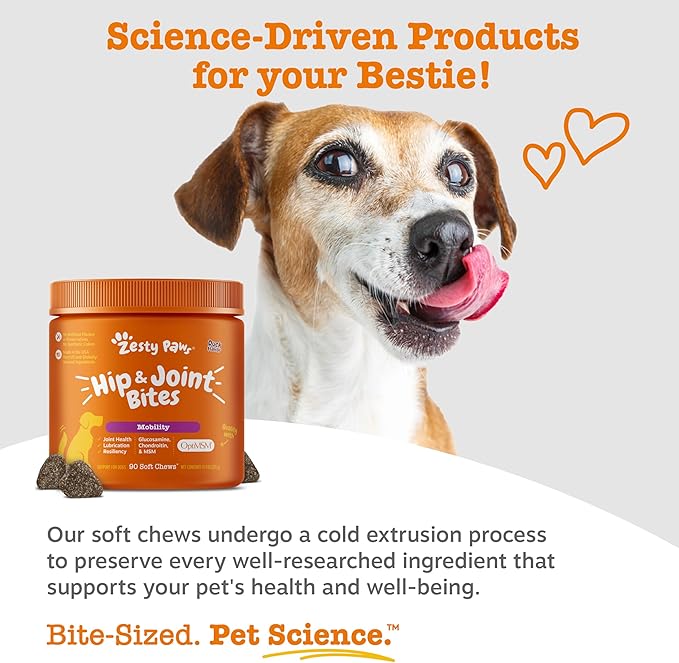 Zesty Paws Hip and Joint Supplement for Dogs - Glucosamine with Chondroitin, MSM, Vitamins C and E Dog Joint Relief - Mobility Bites Duck – 90 Count