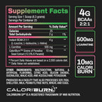 BPI Sports Best BCAA Shredded - Caffeine Free Thermogenic Recovery Drink, Lean Muscle Building BCAA Powder For Women and Men, Preworkout BCAAs Amino Acids Drink- Watermelon ICE - 25 Servings