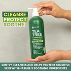 Tea Tree Lemongrass Body Wash MaxTherapy, Itchy Skin Relief, Antifungal Defense, Fights Body Odor, Soothes Jock Itch & Athlete's Foot, Intimate Wash, Men & Women, 2-Pack, Limited Edition