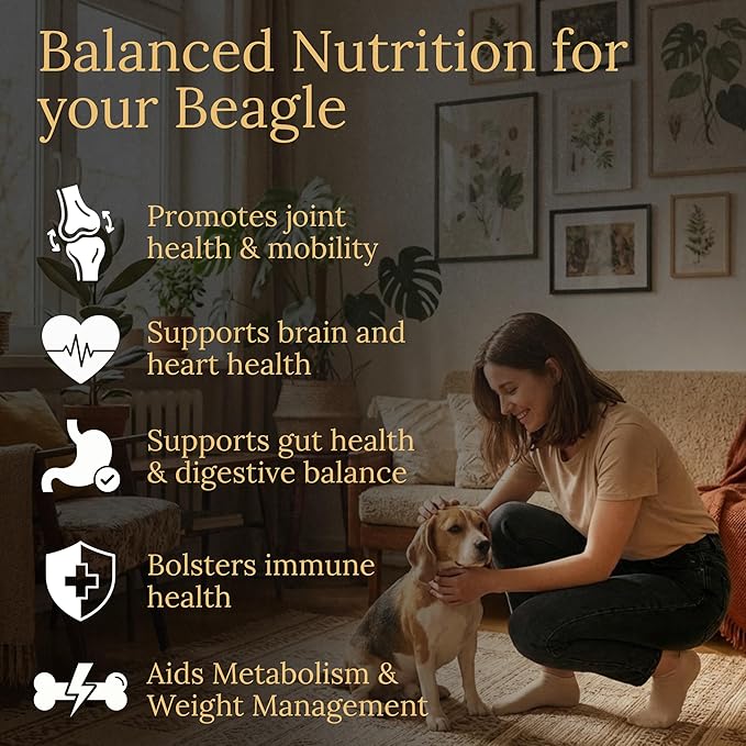 Beagle Multivitamins, 90 Count, Made in the USA with Real Bacon