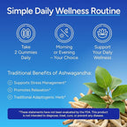 Sugar-Free Ashwagandha Gummies for Stress, Sleep & Mood Support - High-Potency 30:1 Ashwagandha Supplement Extract - Vegan Adaptogen Supplement for Women & Men, Natural Flavor, Plant-Based, 90 Gummies
