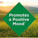 Nature's Bounty St. John’s Wort 300mg Capsules, Herbal Health Supplement, Promotes a Positive Mood, 100 Capsules (Pack of 3)