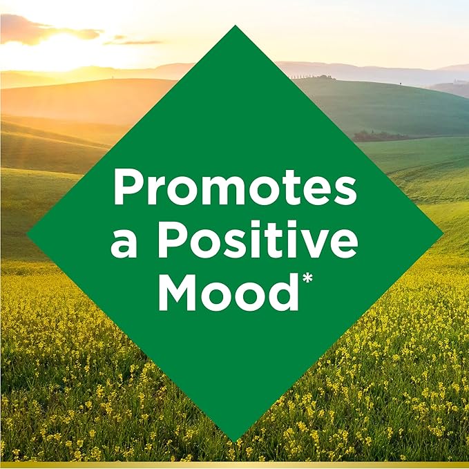 Nature's Bounty St. John’s Wort 300mg Capsules, Herbal Health Supplement, Promotes a Positive Mood, 1 Count (Pack of 200)