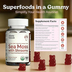 Atlantic Naturals Sea Moss Gummies with Lions Mane Mushroom | Sea Moss Gel Alternative with Irish Sea Moss Reishi, Cordyceps Chaga & Turkey Tail Supplement | Helps Immunity Energy & Focus | 60 Gummies