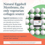 Youtheory Joint Collagen - Vegetarian Collagen Supplement with NEM Eggshell Membrane & Boswellia Extract - Dairy, Soy & Gluten Free - 60 Vegetarian Capsules