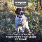 Nutramax Dasuquin for Small to Medium Dogs, Joint Health Supplement, Contains Glucosamine for Dogs, Plus Chondroitin, ASU, MSM and More, Supports Healthy Joints, Soft Chews, 42 Count
