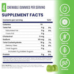 SaltStick Energy Gummies with Electrolytes, Green Apple, Easy to Chew, 10 Packs, 80 Gummies