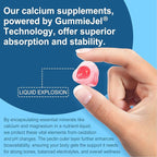 Calcium Citrate Vitamin D3 1000IU Gummies for Women & Men, Sugar Free Bone Health Complex with Calcium, Magnesium, Zinc Potassium & B6, High Absorption, Teeth, Leg Cramp & Nerve Health, Vegan, 60Cts