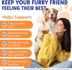 Liquid Collagen for Dogs, Dog Joint Supplements, Skin and Coat Supplement, Dry and Itchy Skin Relief, Support Digestive Health, Dog Collagen Drops with Biotin, MSM, Ginger, Bacon Flavor