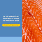 Omega Factors by Natural Factors, Wild Alaskan Salmon Oil, Supports Heart and Brain Health with Omega-3 DHA and EPA, 90 Softgels