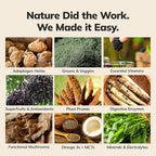 Ka’Chava Whole Body Meal Shake Coconut Acai 2 lb – Vegan Protein Powder with 85+ Superfoods & Greens – Plant-Based Meal Replacement – Probiotics & Digestive Enzymes – Gluten & Dairy Free (15 Servings)