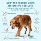 Hip & Joint Senior Dog Supplement–Advanced Glucosamine Chondroitin for Dogs with MSM, Green Lipped Mussel,and Omega-3 – Supports Mobility and Reduces Joint Pain for Senior Dogs(120ct Chewable Tablets)