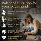 Multivitamins, Balanced Nutrition for Dachshund, 90 Count, Made in the USA with Real Bacon