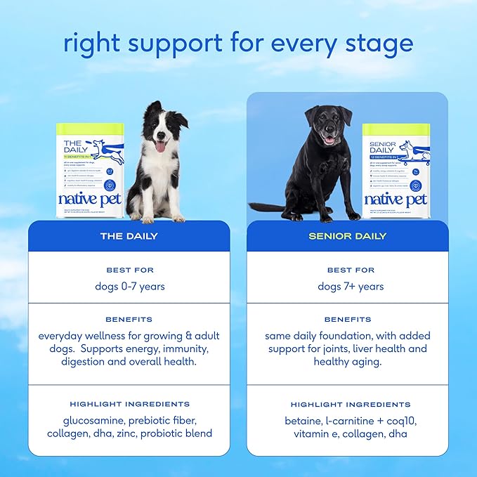 Native Pet Senior Daily Dog Vitamins & Supplements – 12-in-1 Dog Multivitamin Powder for Senior Dogs – Supports Mobility, Cognition, Digestion, Immune Health & More – 120 Scoops