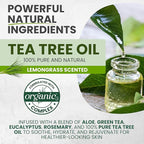 Tea Tree Lemongrass Body Wash MaxTherapy, Itchy Skin Relief, Antifungal Defense, Fights Body Odor, Soothes Jock Itch & Athlete's Foot, Intimate Wash, Men & Women, 2-Pack, Limited Edition