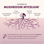 Host Defense MycoBenefits PMS Capsules - Mushroom Supplement for Women's Health Support - Support for Monthly Hormonal Fluctuations - Includes Maitake, Reishi, Vitex - 60 Capsules (30 Servings)