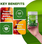 Vitamatic Moringa Gummies – Sugar-Free 50:1 Plant-Based Extract – Green Superfood – Pectin-Based, Vegan, Non-GMO – 240 Gummies