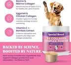 Premium 5X Collagen Powder for Dogs - Types I, II, III, V & X - Skin, Join, Gut & Coat Support - Collagen Powder with Bamboo & Vitamin C, 180 Scoops 4.28 oz