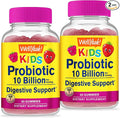 WellYeah Probiotics for Kids Gummies 2 Pack -10 Billion CFU -for Gut Health, Immune Health and Digestive Support -Berry Flavor Chewable Supplement -Vegetarian, Non GMO - 60 Gummies