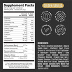 BIRDMAN Falcon Performance Vegan Protein Powder, 31g Protein, 5g Creatine, 5g BCAA, Probiotics, Electrolytes, Pre Workout, Low Carb, Sugar Free & Dairy Free, Plant Based Vanilla Protein - 49 Servings
