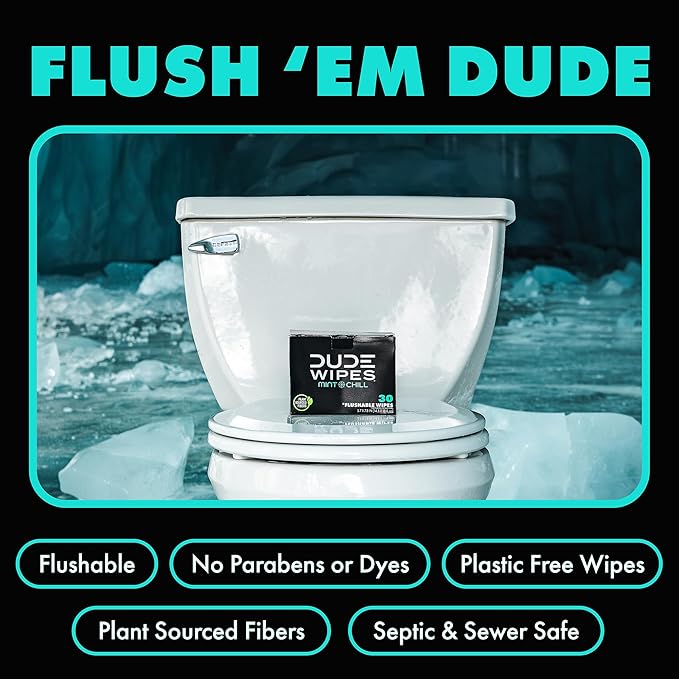 DUDE Wipes On-The-Go Mint Chill Travel Wipes - 30 Count (Individually Wrapped) - Extra-Large Adult Flushable Wipes - Infused with Tea Tree Oil, Vitamin E, and Aloe - Septic and Sewer Safe