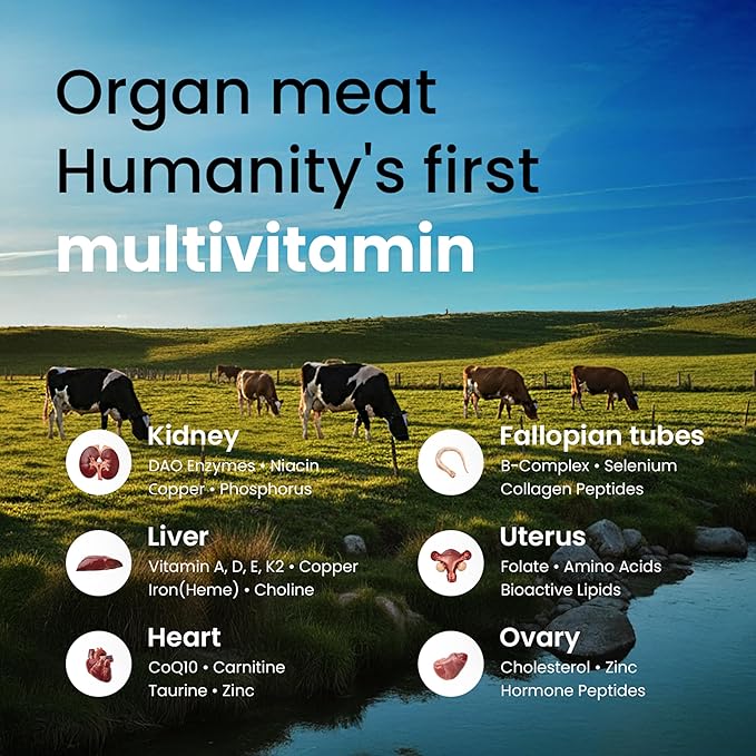 Beef Organ Supplement for Women – Grass Fed Liver, Uterus, Ovary, Heart, Kidney – 30+ Nutrients to Support Hormone Balance, Cycle Health, Energy, Immunity, Skin & Hair – Made in USA & 3rd Party Tested