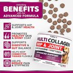 YUMA'S Advanced Collagen for Dogs - 170 Chews - Hip and Joint Supplement - Multi-Collagen Peptides - Skin & Coat Health, Cartilage & Mobility Support - Glucosamine, Vitamin C, Hyaluronic Acid