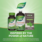 Nature’s Way Chlorofresh Liquid Chlorophyll, Chlorophyllin Copper Complex, Internal Deodorant Supplement, Supports Healthy Skin and Detox Pathways*, Mint Flavored, 16 fl oz