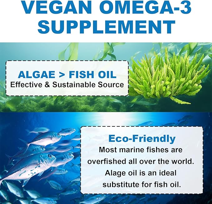 Vegan Omega 3 Gummies - Algal Oil Omega 3 Supplement with DHA, EPA & 10 Essential Vitamins, Fish Oil Alternative - Support Brain, Eye & Immunity for Adults, Orange Flavor, 60 Count