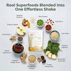 310 Nutrition All-In-One Plant-Based Meal Replacement Shake – High-Fiber Protein with Probiotics, Digestive Enzymes & Adaptogens – Vegan, Low Carb, Keto Friendly Superfood Blend – Banana Cream Pie – 28 Servings