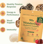 WonderDay Extra Strength Mushroom Gummies – Sugar Free Lion’s Mane, Cordyceps, Reishi & Chaga Supplement for Adults – Mood Boost, Energy, Focus, Immune Support & Gut Health – Vegan, Non-GMO (60 Count)