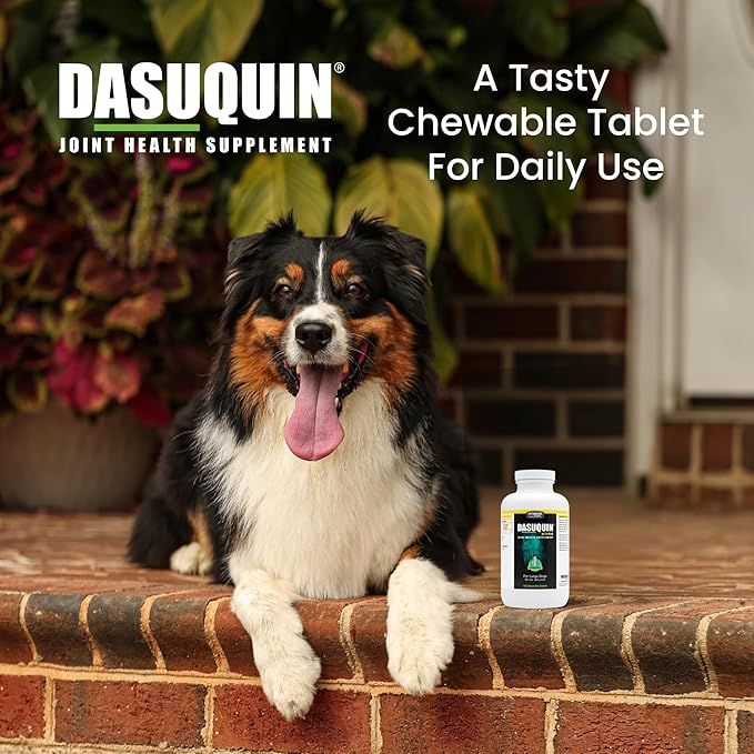 Nutramax Dasuquin for Large Dogs, Joint Health Supplement, Contains Glucosamine for Dogs, Plus Chondroitin, ASU, MSM and More, Supports Healthy Joints, Chewable Tablets, 150 Count