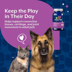 NaturVet Glucosamine DS Plus Level 2 Moderate Care Joint Support Supplement for Dogs and Cats, Chewable Tablets Time Release, Made in The USA, 120 Count