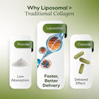 Liquid Collagen for Women - Vegan Collagen Liposomal Supplement - Ultra Absorption, Plant Based with Bamboo Extract, Vitamin C, Amino Acids - Skin, Hair, Nail, Joint Support - Maple Mocha 30 Servings