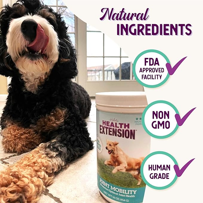 Health Extension Chondroitin with Glucosamine for Dogs, 16oz - Arthritis Pain Relief, Joint & Hip Supplement, Cheese Flavored Powder