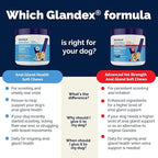 Vetnique Glandex Anal Gland Health Soft Chew Treats with Pumpkin for Dogs Digestive Enzymes, Probiotics Fiber Supplement for Dogs Boot The Scoot (Advanced Strength Duck/Bacon Chews (Veg), 30 Count)