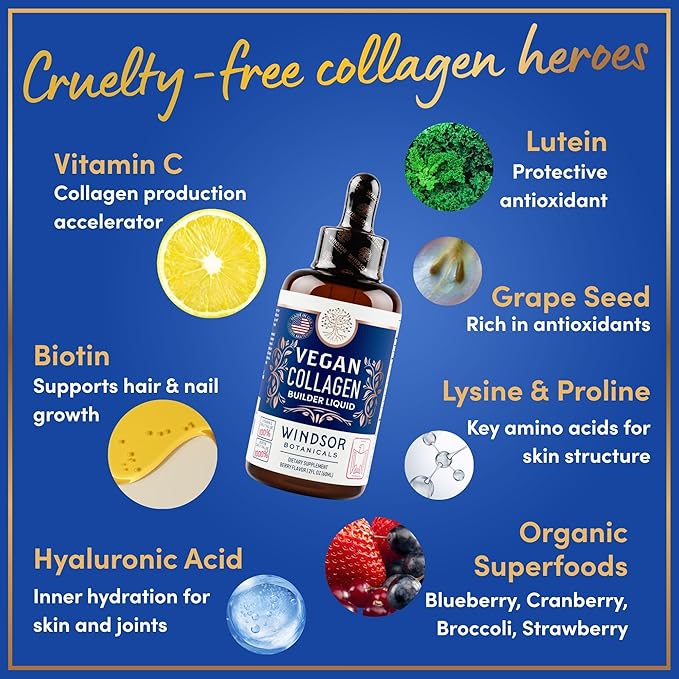 WINDSOR BOTANICALS Vegan Collagen Builder Liquid Supplement - Collagen Booster with Vitamin C, Biotin, Hyaluronic Acid & Amino Acids - Organic Fruit & Vegetable Blend - 120ml, 60 Day