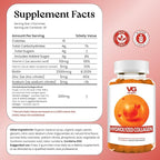 VITA GLOBE Collagen Gummies – 200mg Hydrolyzed Collagen Types I, II, III, V & X | Supports Hair, Skin, Nails, Joints & Bones | Beauty & Wellness Supplement for Women & Men – 60 Count (Pack of 1)
