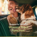 Nature's Bounty Cranberry Gummies, Urinary Tract Support, 500 mg, Cran-Raspberry Flavor, 150 Ct